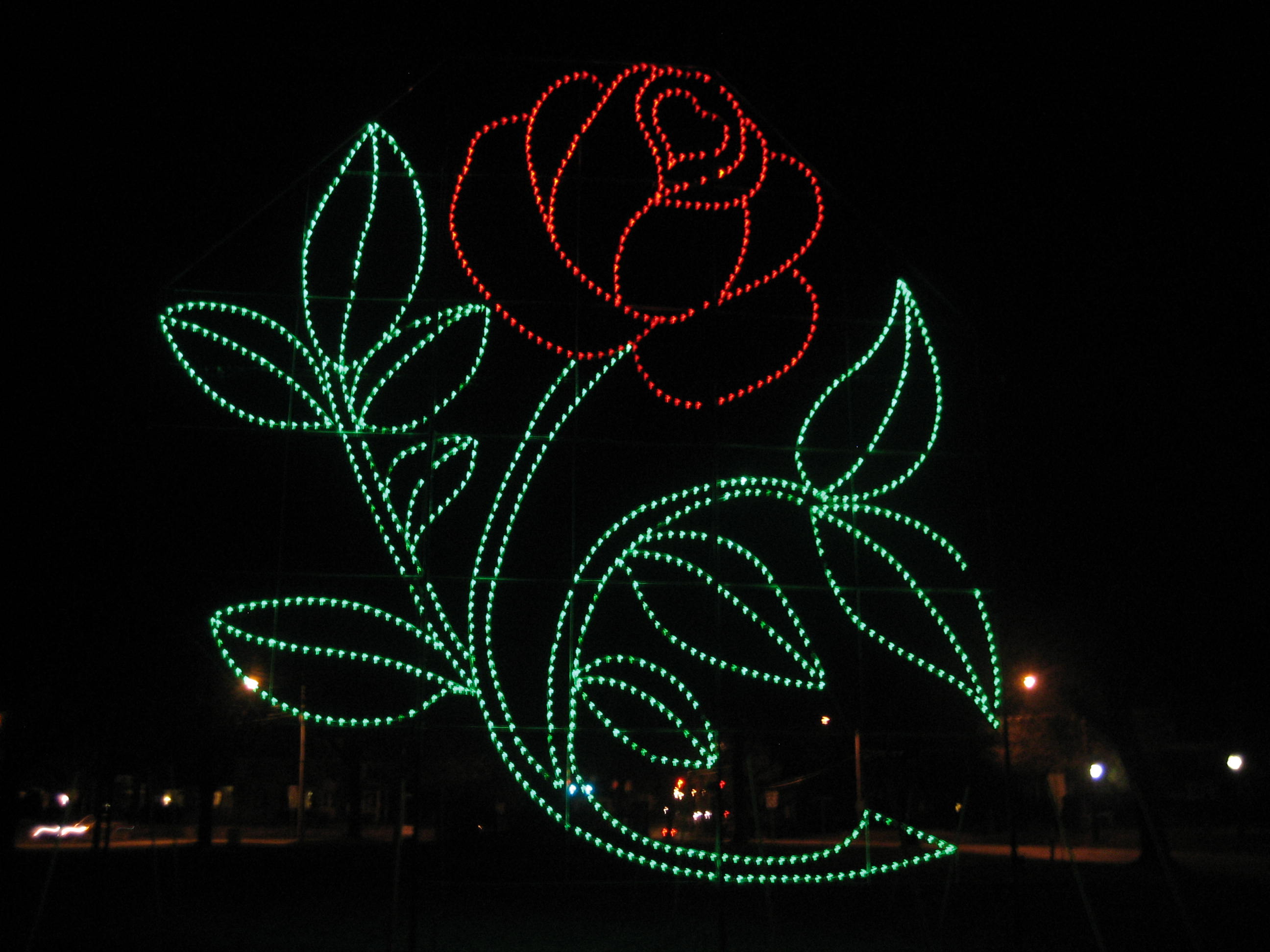 Rose Light Display at Chelsea Parade