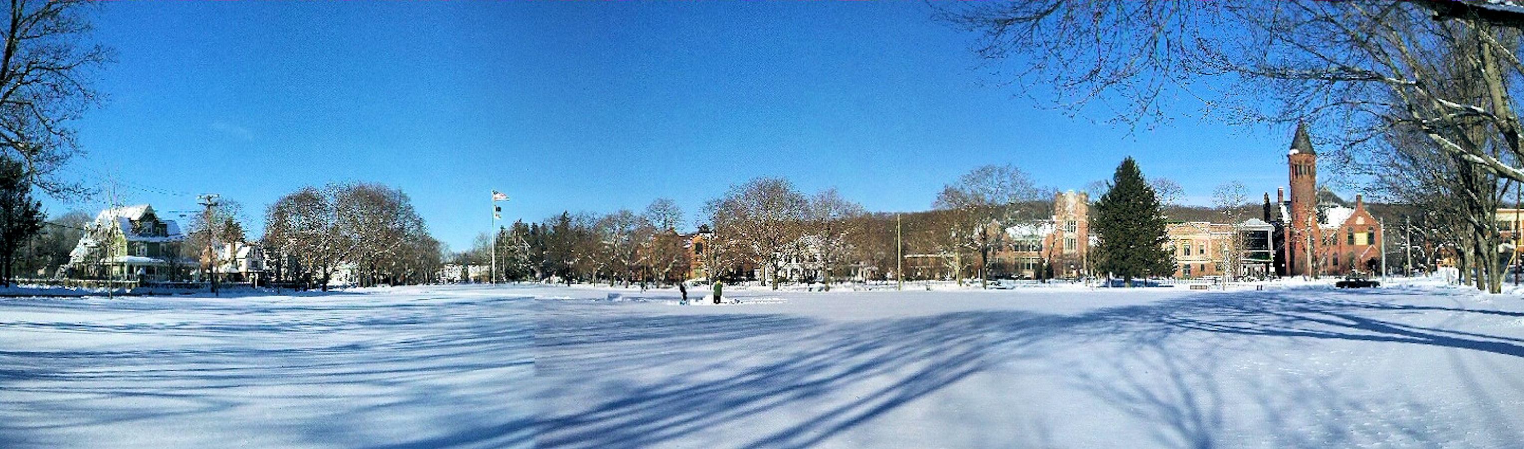 Chelsea Parade Sunday afternoon December 30, 2012 